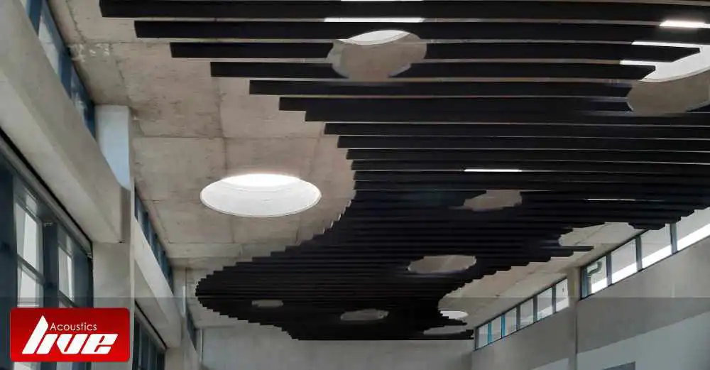Fabric Acoustic Baffles, Mangosuthu University, Umlazi