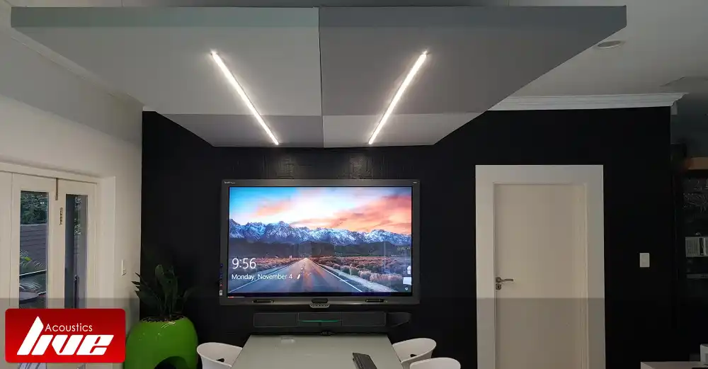 Acoustic Baffles Gillitts