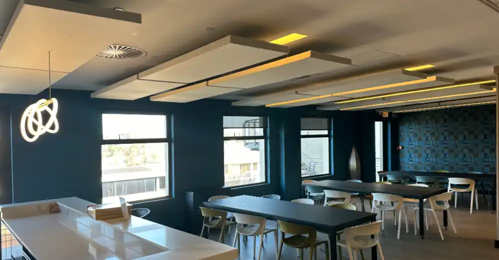 Entellect JHB